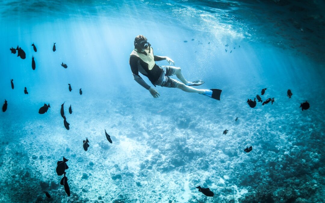 Fordelene ved at bruge fitnessudstyr til dykkertræning